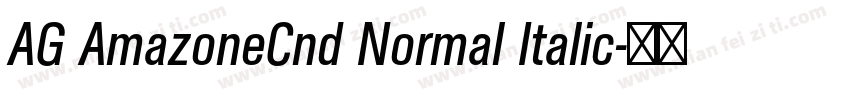 AG AmazoneCnd Normal Italic字体转换